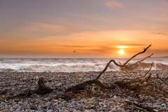 DriftWood-